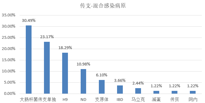 2024新澳精准资料大全,市场趋势方案实施_iPhone97.35