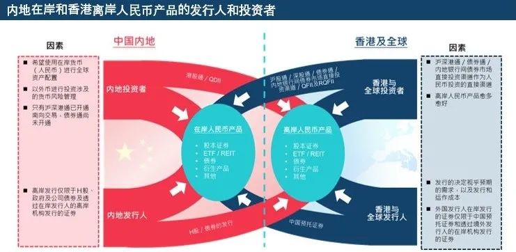 香港免费公开资料大全,全面数据策略实施_投资版33.706