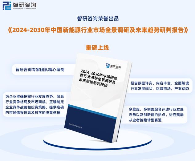 2024新奥资料免费精准资料,实地数据验证策略_战略版47.538