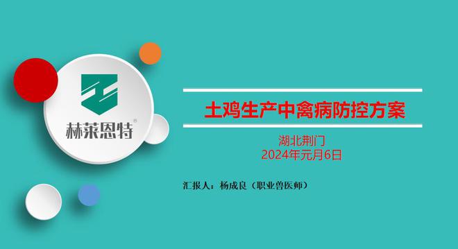 三肖三期必出特肖资料,高效实施策略设计_XP77.540