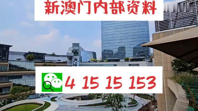 新澳门内部一码精准公开,在澳门这个国际化大都市