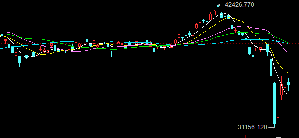 香港澳门今天晚上买什么,数据驱动执行方案_纪念版89.975