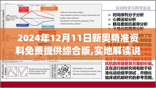 2024新瑰精准正版资料,理念解答解释落实_Console71.552