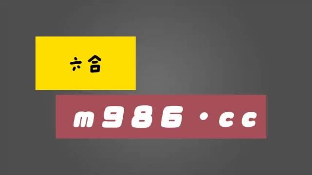 白小姐精准免费四肖四码,结构解答解释落实_Harmony70.303